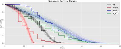 LipidClock: A Lipid-Based Predictor of Biological Age